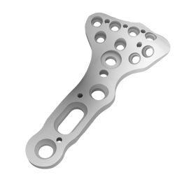 Best-Solution_Bone-Plate